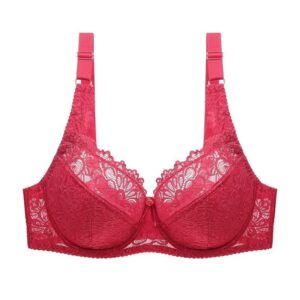 Embroidered Floral Lace Bra Plus Size for Women