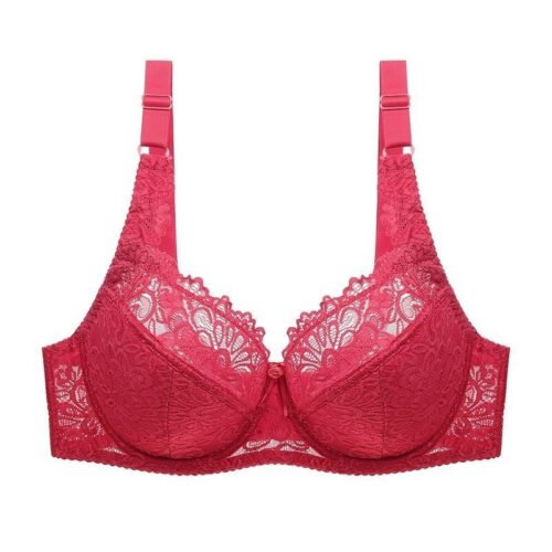 Embroidered Floral Lace Bra Plus Size for Women