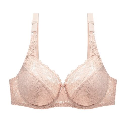 Embroidered Floral Lace Bra Plus Size for Women