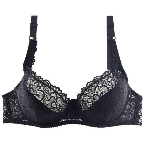 Embroidered Floral Lace Bra Plus Size for Women