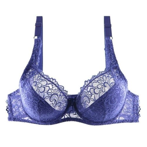Embroidered Floral Lace Bra Plus Size for Women
