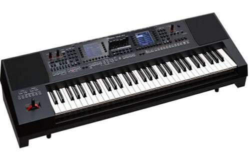 Roland E-A7 Expandable Arranger Keyboard, a versatile musical instrument with 61 keys for live performances and music production.