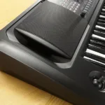 Korg EK-50 61 Keys Arranger with Built in Speakers